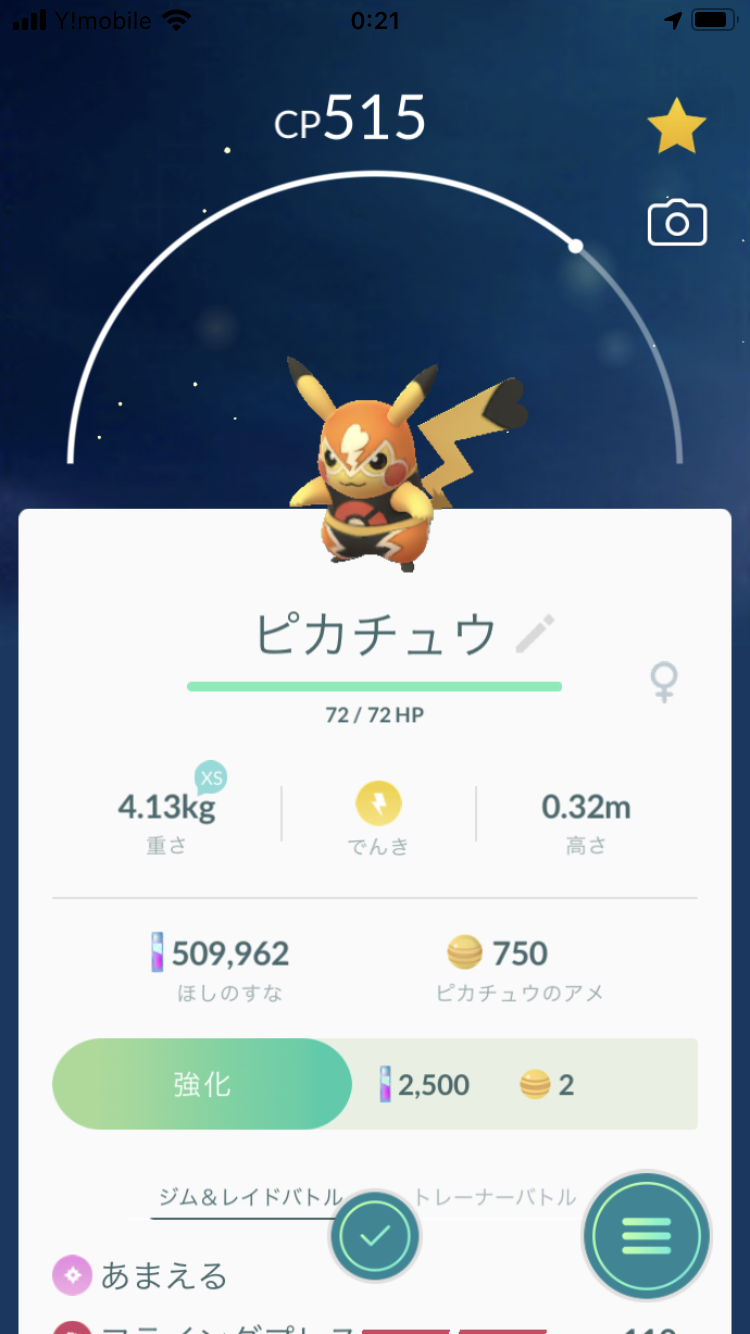 ポケモン ブリキ看板 ピカチュウ リザードン フシギダネ ゼニガメ
